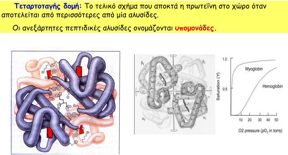 από περισσότερες από μία αλυσίδες.