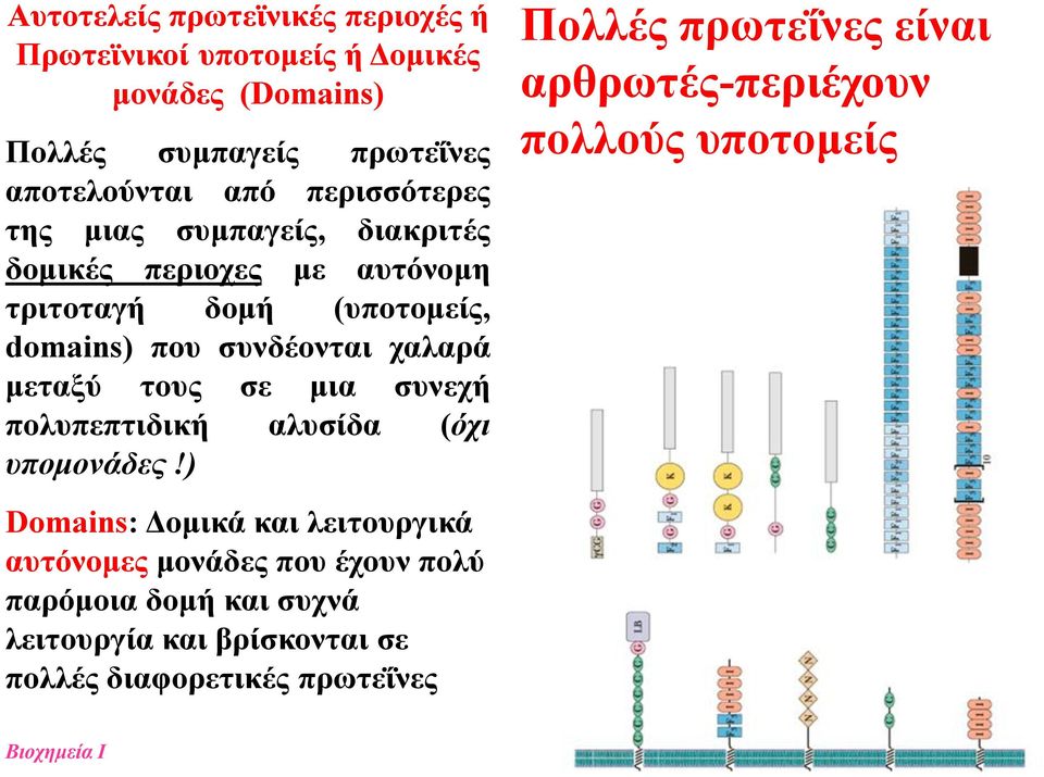 μεταξύ τους σε μια συνεχή πολυπεπτιδική αλυσίδα (όχι υπομονάδες!