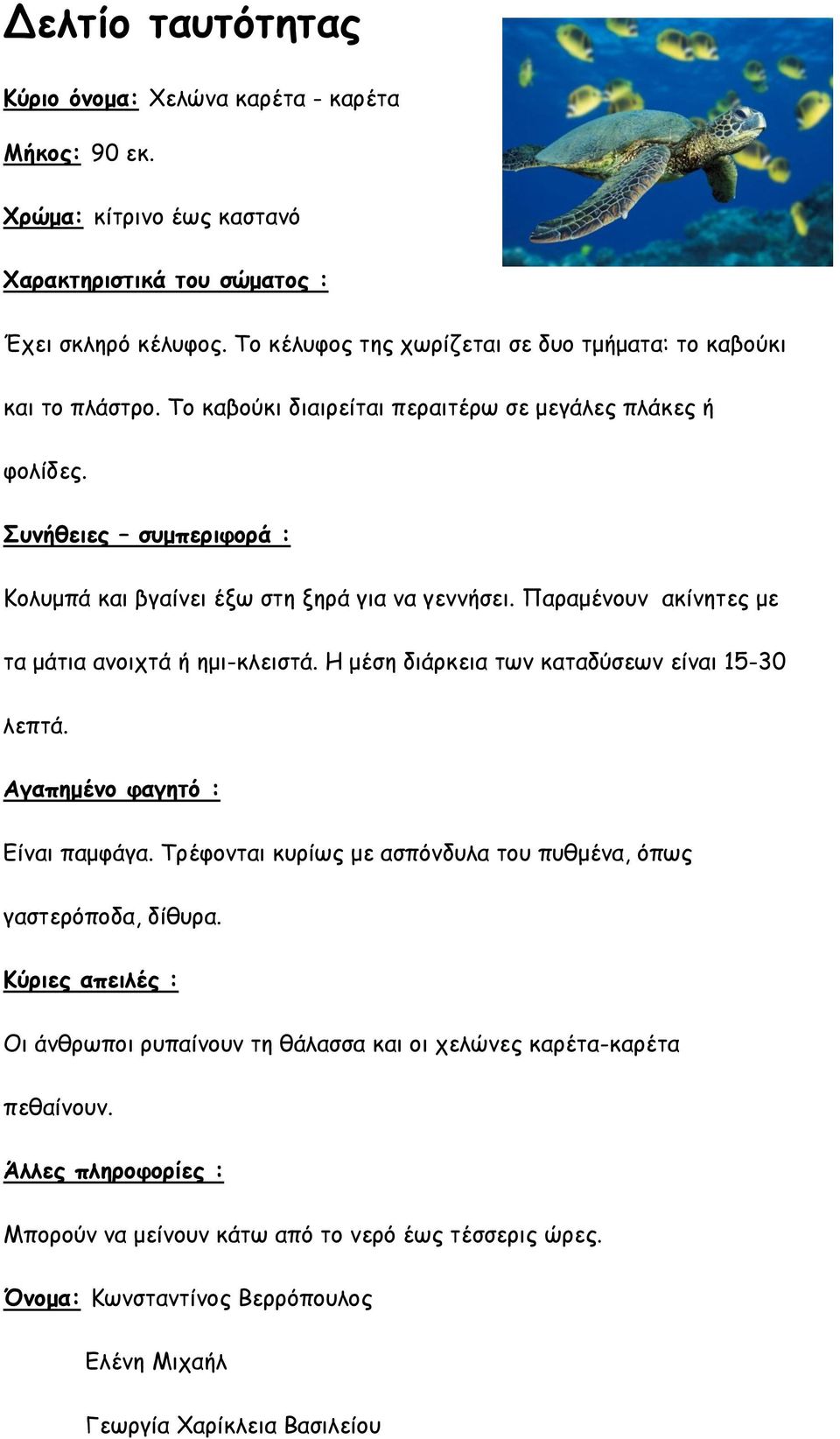 Η μέση διάρκεια των καταδύσεων είναι 15-30 λεπτά. Είναι παμφάγα. Τρέφονται κυρίως με ασπόνδυλα του πυθμένα, όπως γαστερόποδα, δίθυρα.