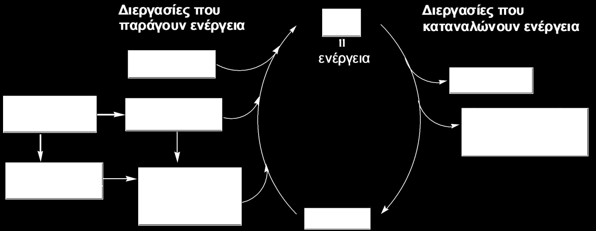 Σχήμα 24.