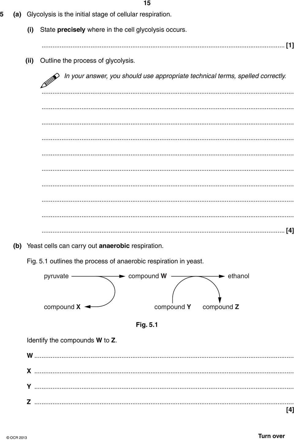 ... [4] (b) Yeast cells can carry out anaerobic respiration. Fig. 5.1 outlines the process of anaerobic respiration in yeast.