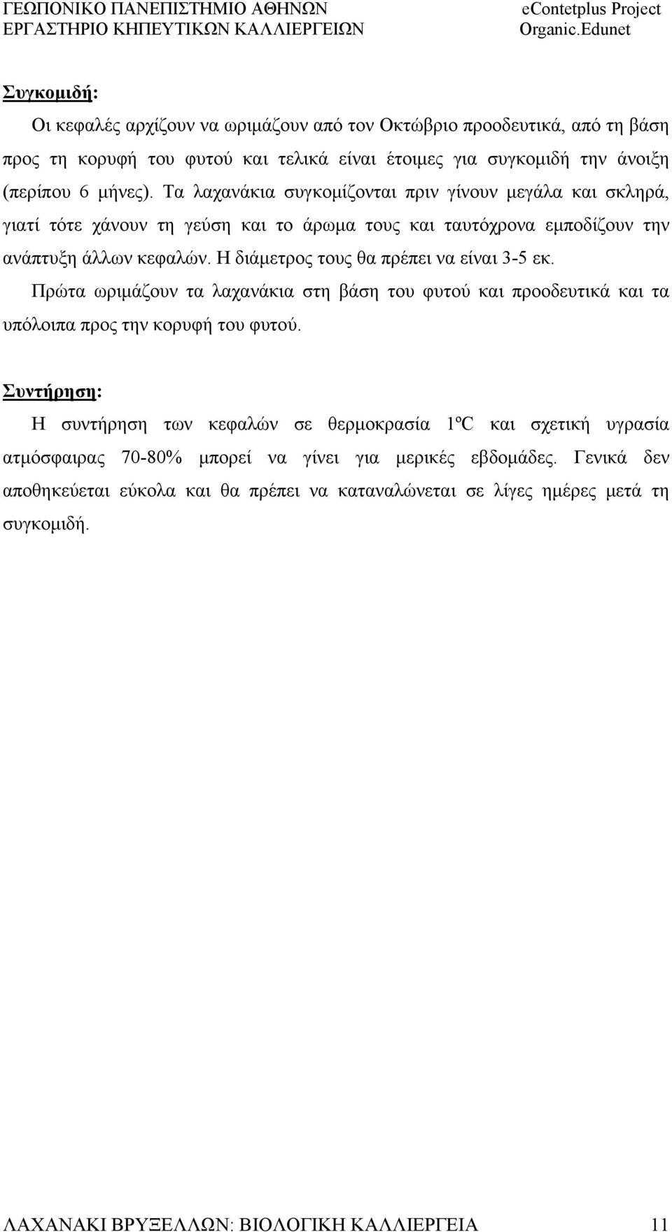 Η διάμετρος τους θα πρέπει να είναι 3-5 εκ. Πρώτα ωριμάζουν τα λαχανάκια στη βάση του φυτού και προοδευτικά και τα υπόλοιπα προς την κορυφή του φυτού.