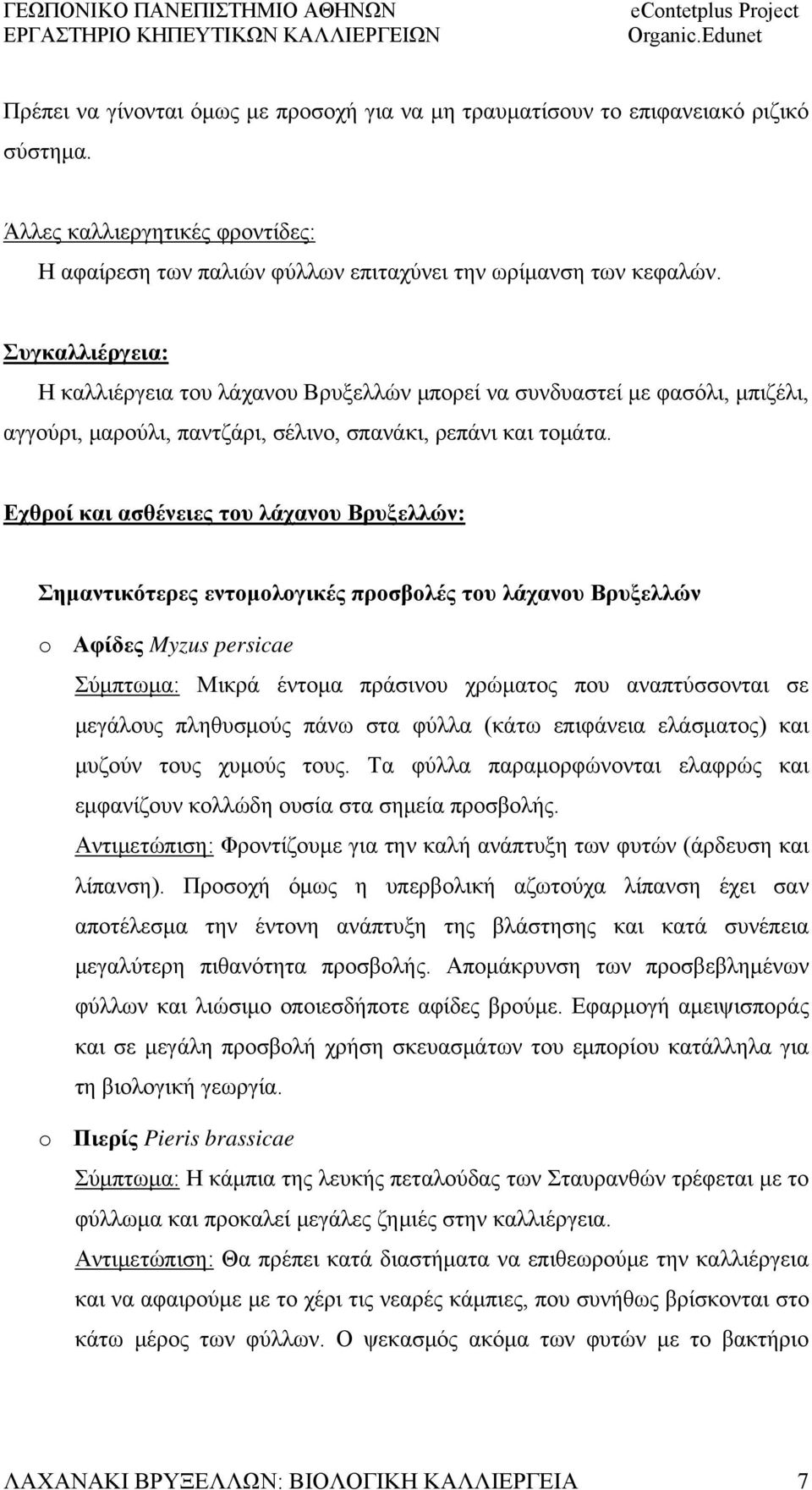 Εχθροί και ασθένειες του λάχανου Βρυξελλών: Σημαντικότερες εντομολογικές προσβολές του λάχανου Βρυξελλών o Αφίδες Myzus persicae Σύμπτωμα: Μικρά έντομα πράσινου χρώματος που αναπτύσσονται σε μεγάλους