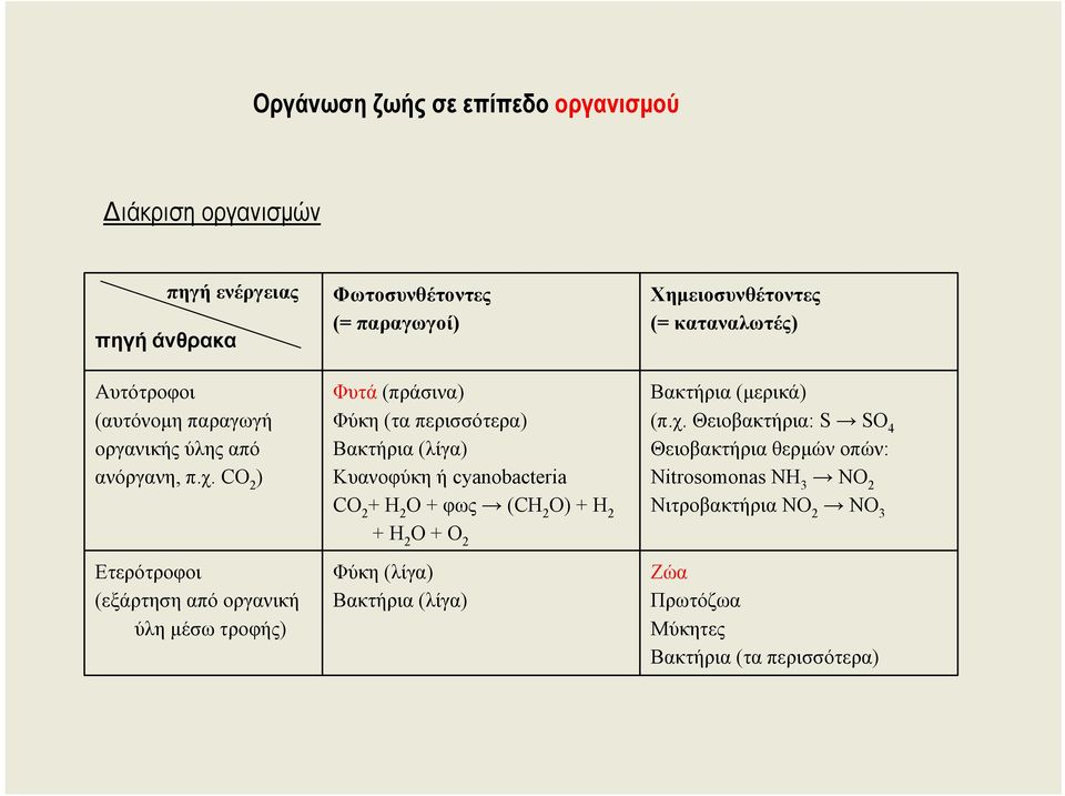 Κυανοφύκη ή cyanobacteria CO 2 + H 2 O + φως (CΗ 2 Ο) + Η 2 + H 2 O + O 2 Φύκη (λίγα) Βακτήρια (λίγα) Χηµειοσυνθέτοντες (= καταναλωτές) Βακτήρια