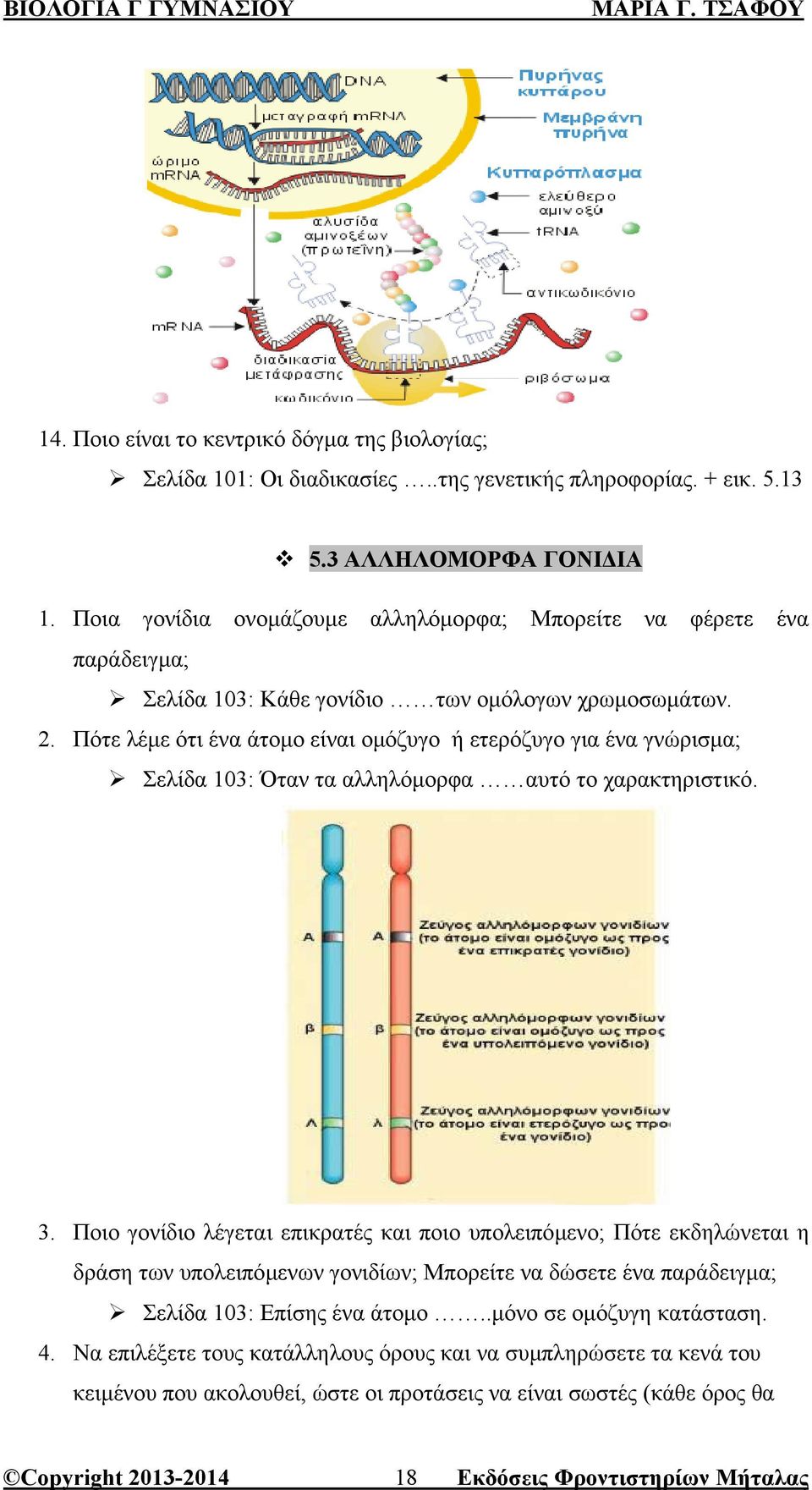 Πότε λέµε ότι ένα άτοµο είναι οµόζυγο ή ετερόζυγο για ένα γνώρισµα; Σελίδα 103: Όταν τα αλληλόµορφα αυτό το χαρακτηριστικό. 3.