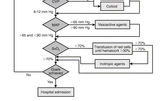 Treatment Algorithm Rivers E et al.