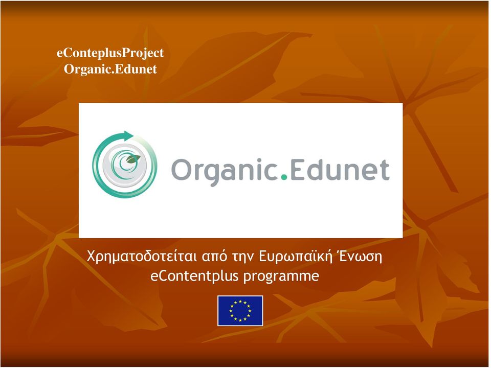 Edunet Χρηματοδοτείται