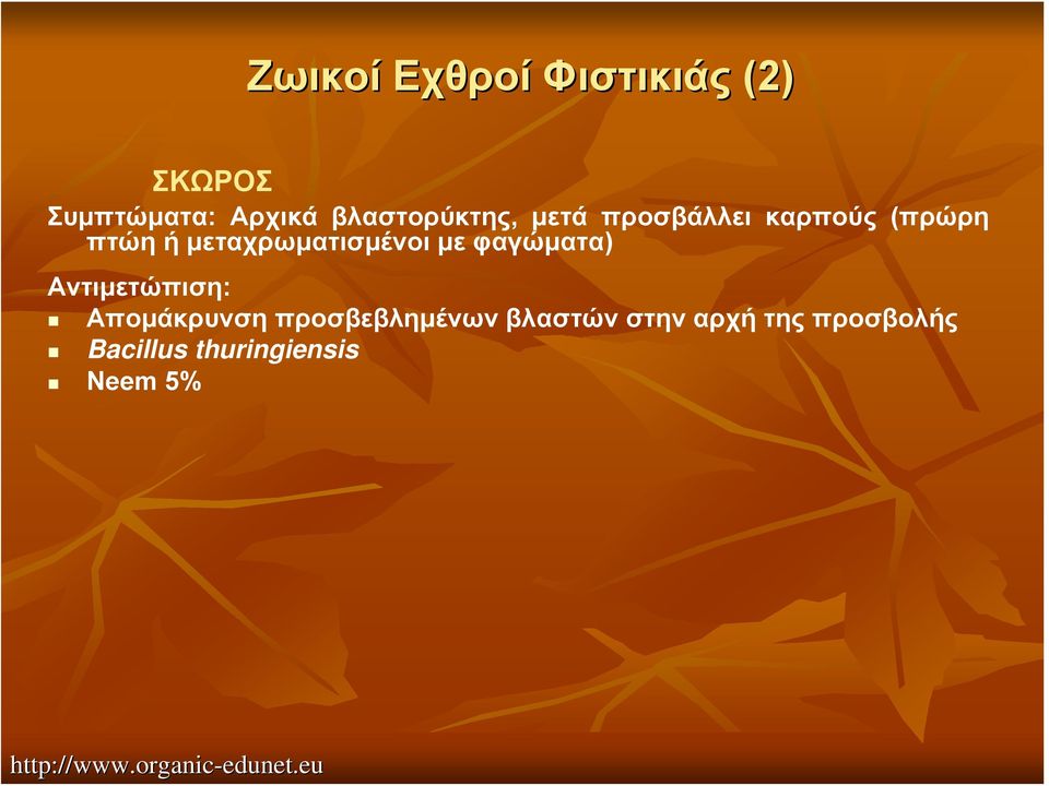 μεταχρωματισμένοι με φαγώματα) Απομάκρυνση