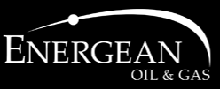 Pioneer in integrated consulting