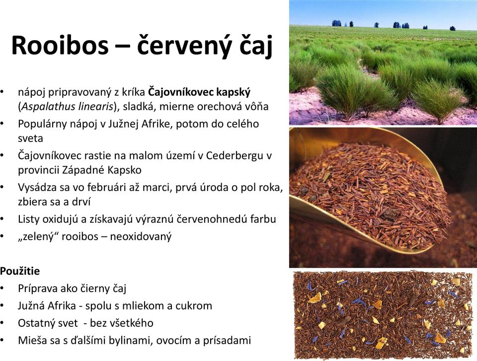 marci, prvá úroda o pol roka, zbiera sa a drví Listy oxidujú a získavajú výraznú červenohnedú farbu zelený rooibos neoxidovaný Použitie
