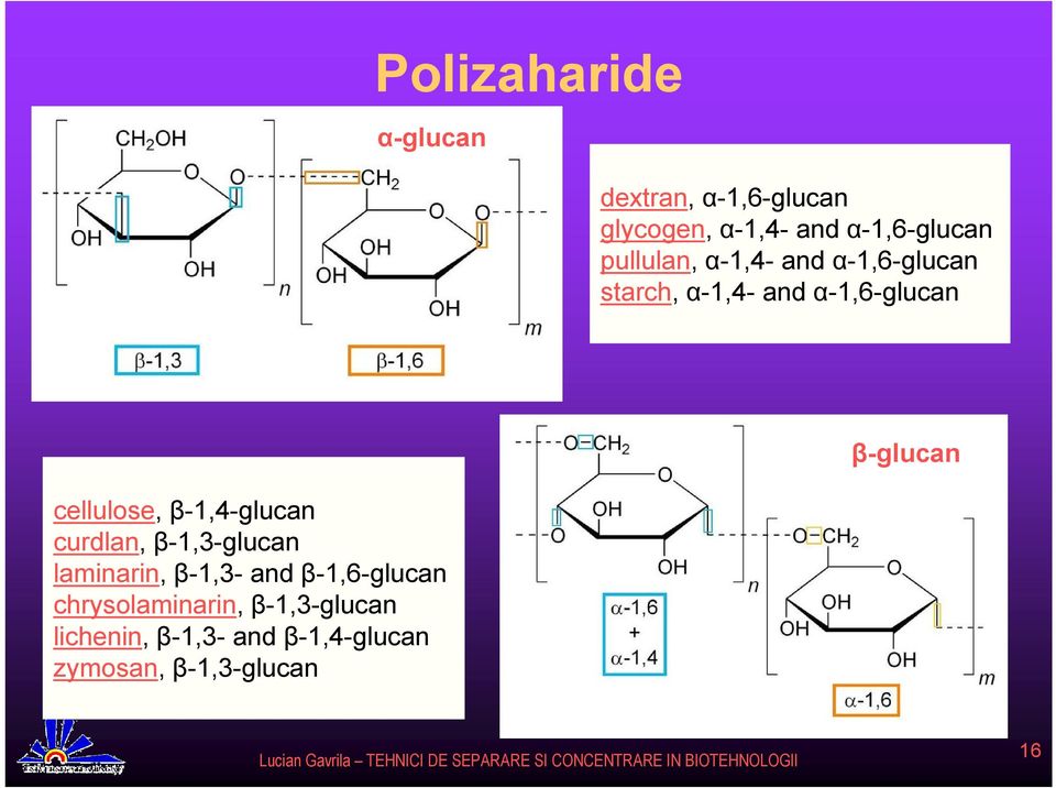 β-1,4-glucan curdlan, β-1,3-glucan laminarin, β-1,3- and β-1,6-glucan
