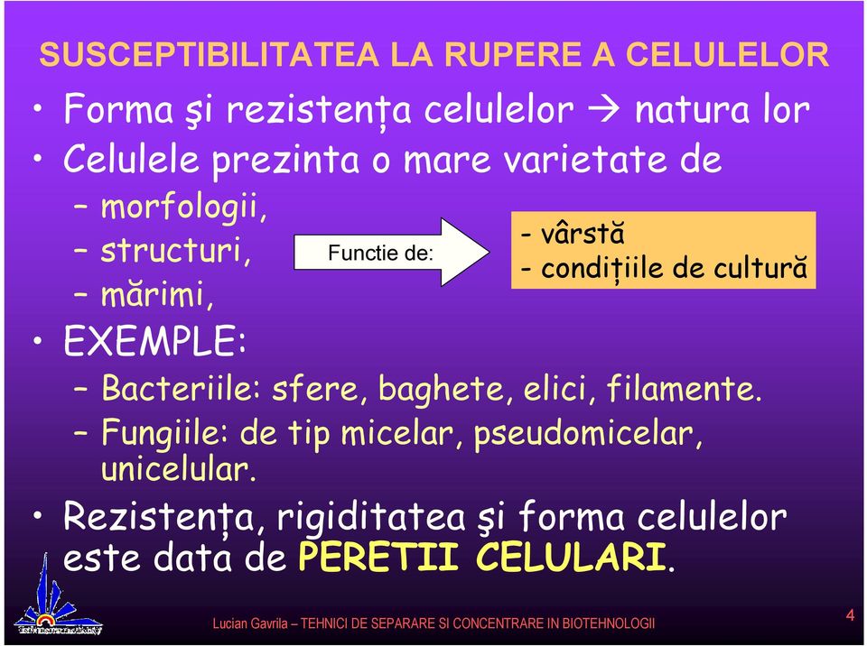 -condiţiile de cultură Bacteriile: sfere, baghete, elici, filamente.
