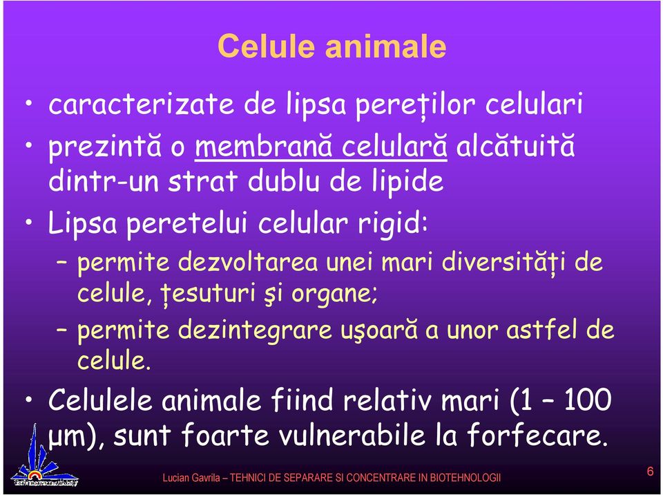unei mari diversităţi de celule, ţesuturi şi organe; permite dezintegrare uşoară a unor