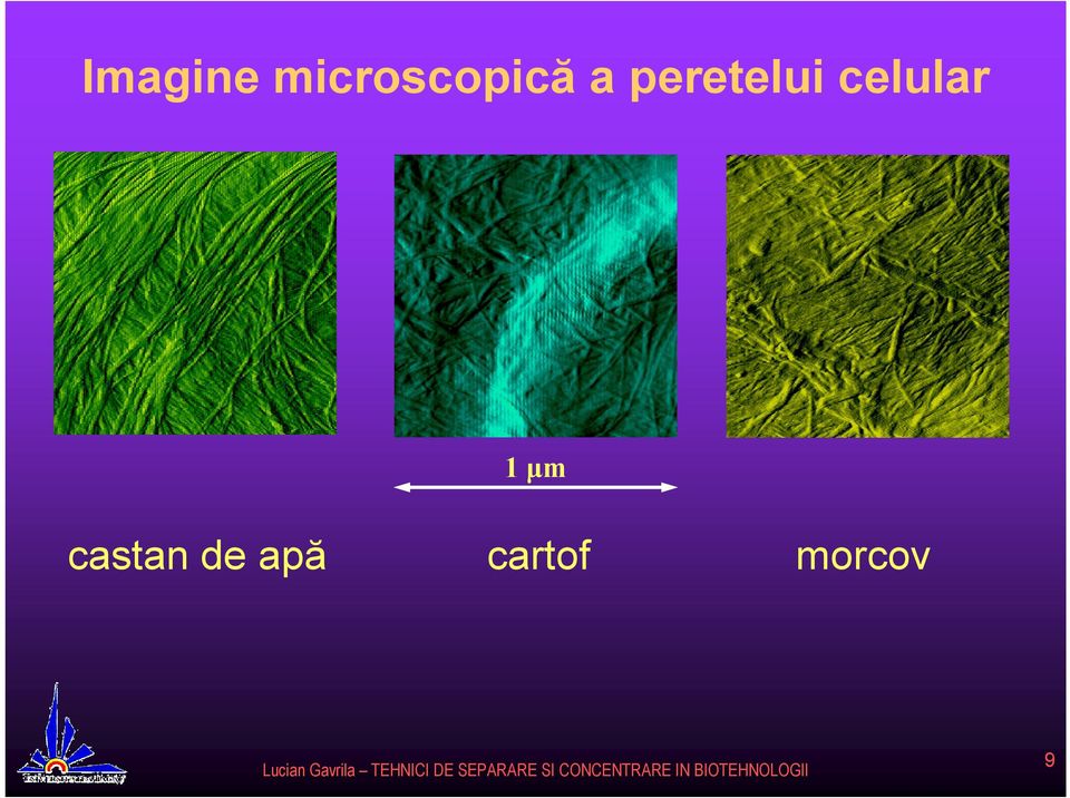 peretelui celular