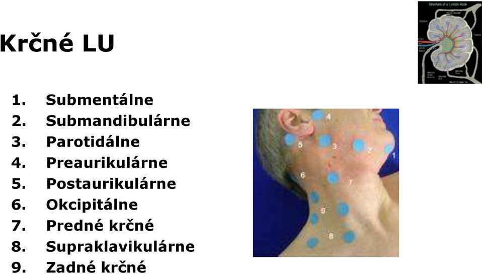Preaurikulárne 5. Postaurikulárne 6.