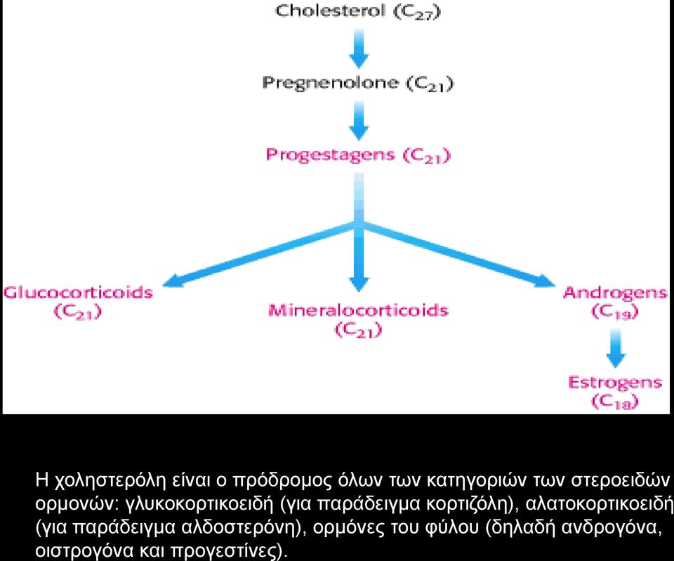 κορτιζόλη), αλατοκορτικοειδή (για παράδειγμα αλδοστερόνη),