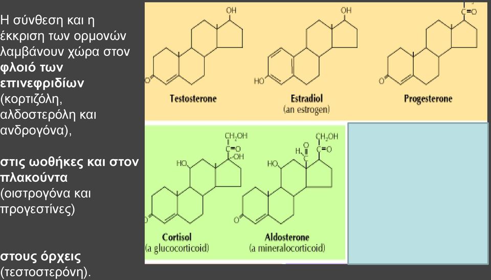 και ανδρογόνα), στις ωοθήκες και στον πλακούντα