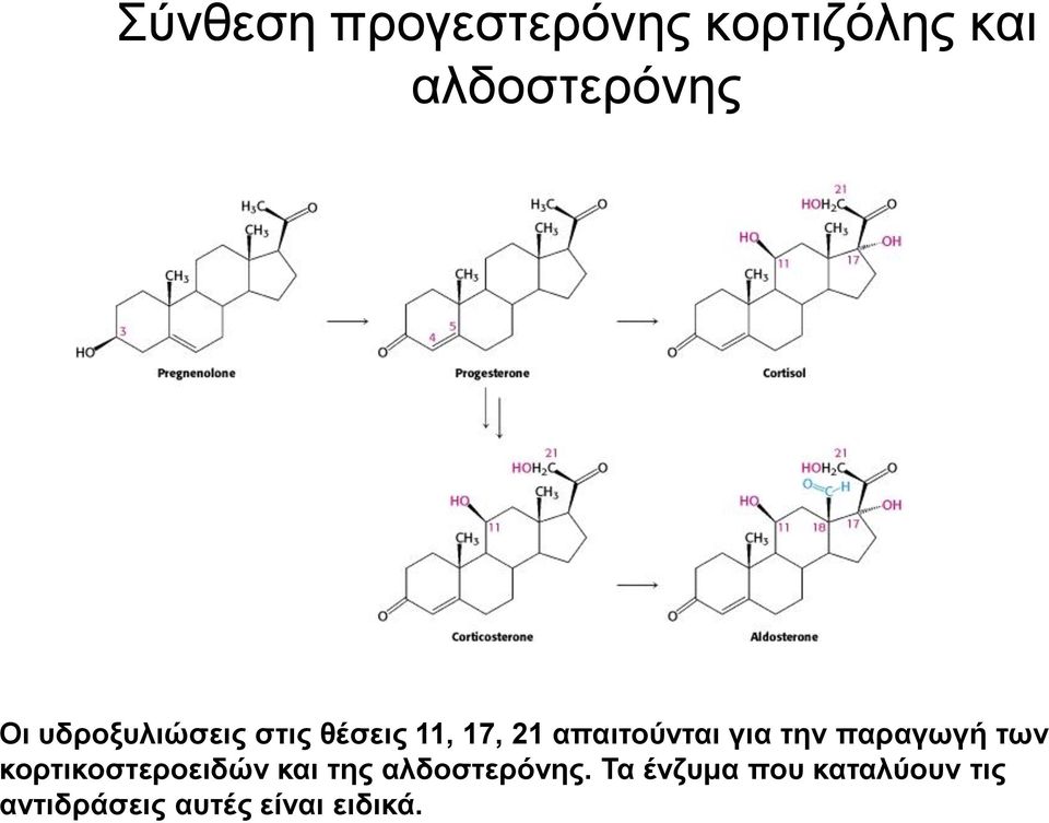 την παραγωγή των κορτικοστεροειδών και της αλδοστερόνης.