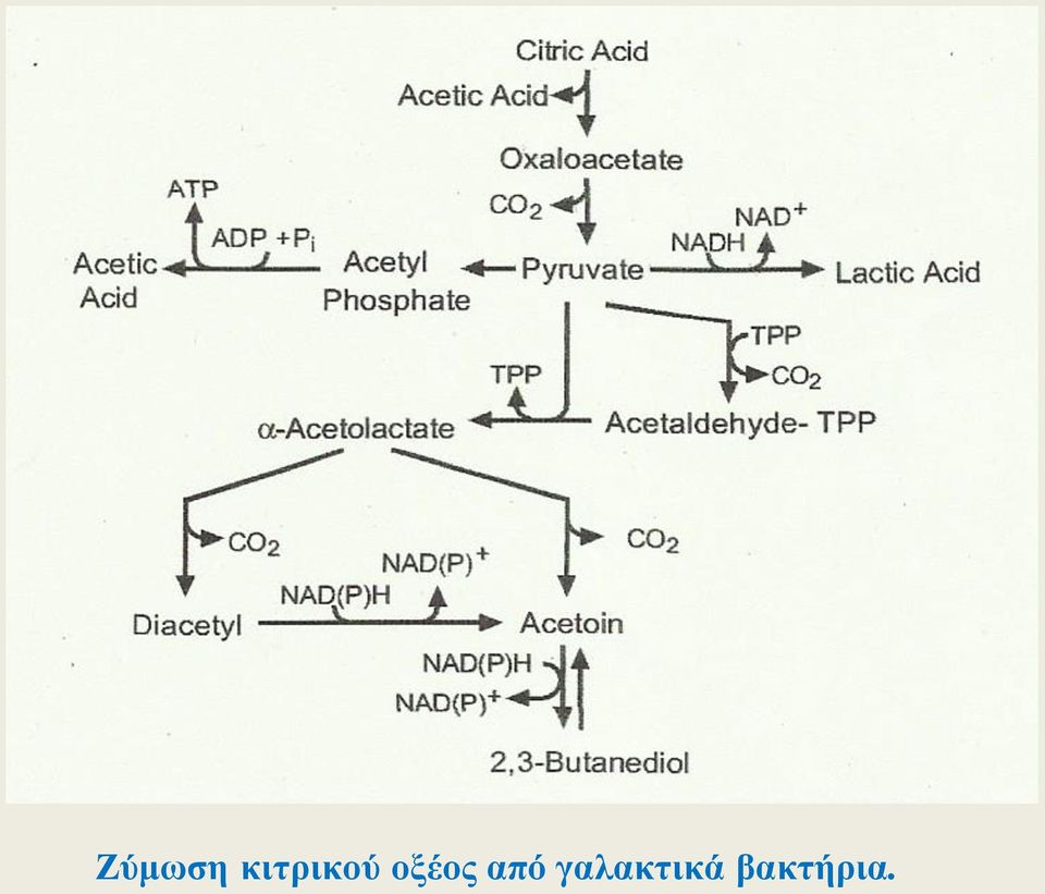 οξέος από