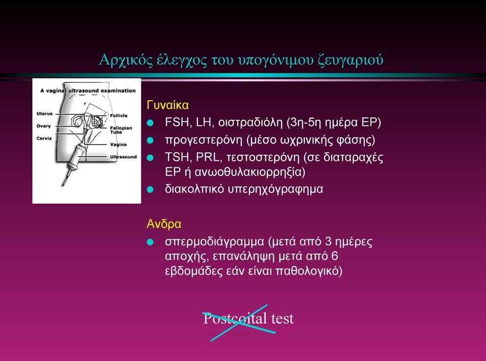 διαταραχές ΕΡ ή ανωοθυλακιορρηξία) διακολπικό υπερηχόγραφηµα Ανδρα