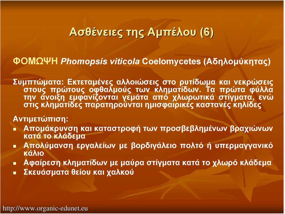 Τα πρώτα φύλλα την άνοιξη εμφανίζονται γεμάτα από χλωρωτικά στίγματα, ενώ στις κληματίδες παρατηρούνται ημισφαιρικές καστανές κηλίδες