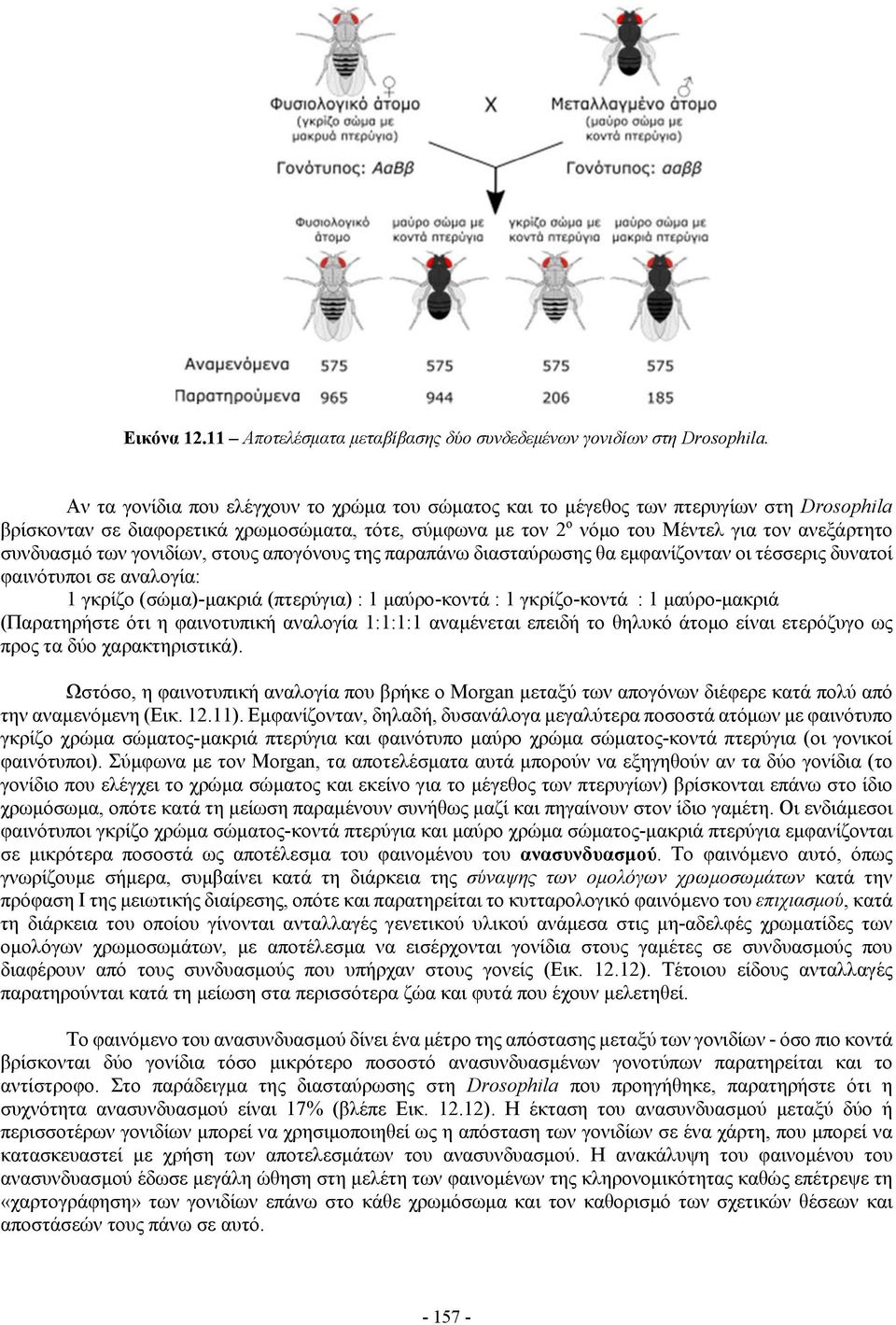 συνδυασμό των γονιδίων, στους απογόνους της παραπάνω διασταύρωσης θα εμφανίζονταν οι τέσσερις δυνατοί φαινότυποι σε αναλογία: 1 γκρίζο (σώμα)-μακριά (πτερύγια) : 1 μαύρο-κοντά : 1 γκρίζο-κοντά : 1