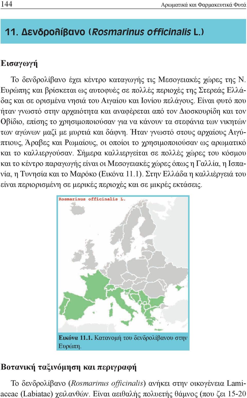 Είναι φυτό που ήταν γνωστό στην αρχαιότητα και αναφέρεται από τον Διοσκουρίδη και τον Οβίδιο, επίσης το χρησιμοποιούσαν για να κάνουν τα στεφάνια των νικητών των αγώνων μαζί με μυρτιά και δάφνη.