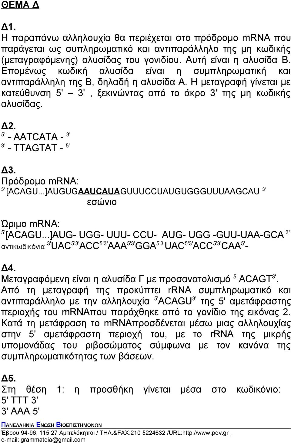 5' - AATCATA - 3' 3' - TTAGTAT - 5' Δ3. Πρόδρομο mrna: 5' [ACAGU...]AUGUGAAUCAUAGUUUCCUAUGUGGGUUUAAGCAU 3' εσώνιο Ώριμο mrna: 5' [ACAGU.