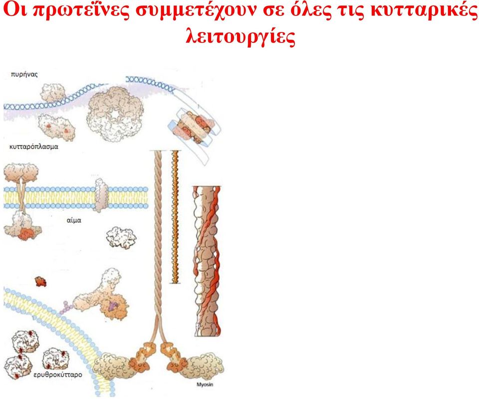 όλες τις