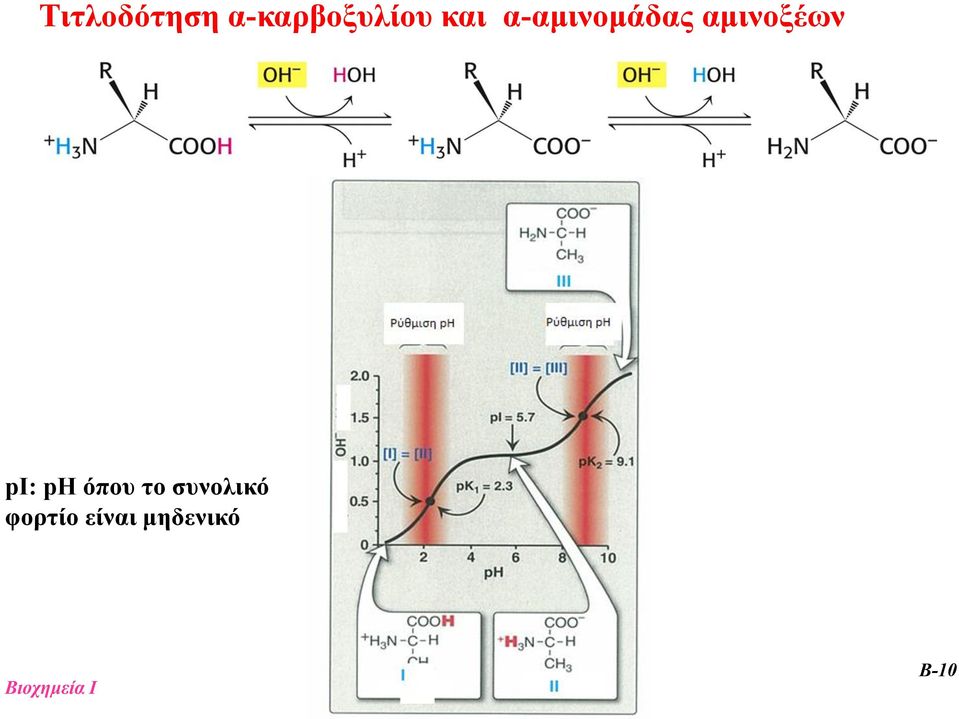 αμινοξέων pi: ph όπου το