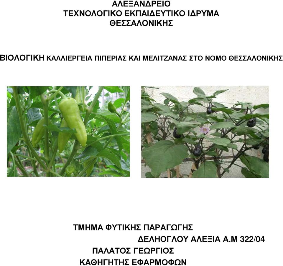 ΜΕΛΙΤΖΑΝΑΣ ΣΤΟ ΝΟΜΟ ΘΕΣΣΑΛΟΝΙΚΗΣ ΤΜΗΜΑ ΦΥΤΙΚΗΣ