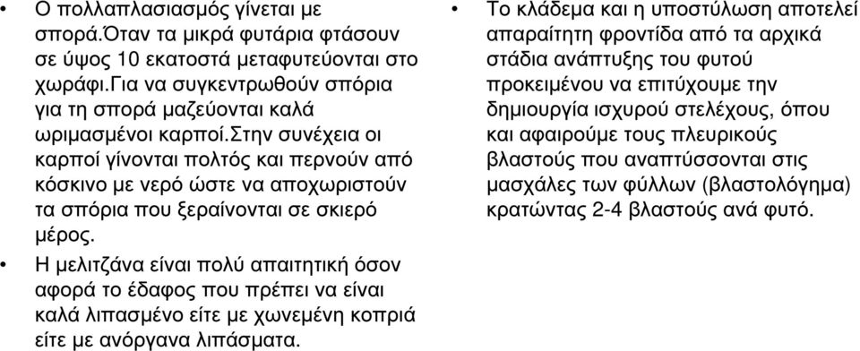 Η µελιτζάνα είναι πολύ απαιτητική όσον αφορά το έδαφος που πρέπει να είναι καλά λιπασµένο είτε µε χωνεµένη κοπριά είτε µε ανόργανα λιπάσµατα.