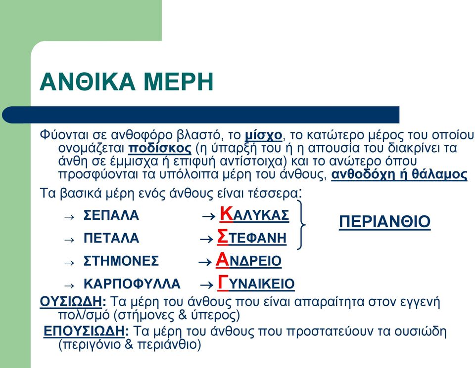 βασικά μέρη ενός άνθους είναι τέσσερα: ΣΕΠΑΛΑ ΠΕΤΑΛΑ ΣΤΗΜΟΝΕΣ ΚΑΛΥΚΑΣ ΣΤΕΦΑΝΗ ΑΝΔΡΕΙΟ ΠΕΡΙΑΝΘΙΟ ΚΑΡΠΟΦΥΛΛΑ ΓΥΝΑΙΚΕΙΟ ΟΥΣΙΩΔΗ: Τα μέρη του