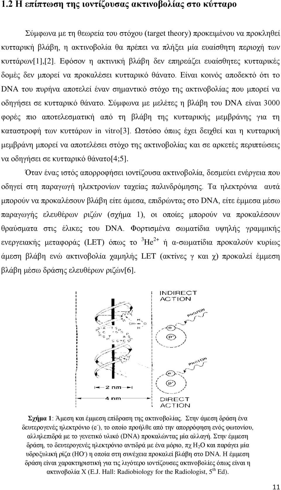 Είναι κοινός αποδεκτό ότι το DNA του πυρήνα αποτελεί έναν σημαντικό στόχο της ακτινοβολίας που μπορεί να οδηγήσει σε κυτταρικό θάνατο.
