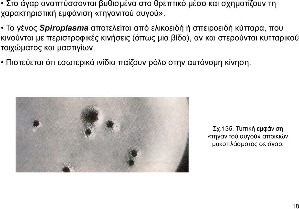 Το γένος Spiroplasma αποτελείται από ελικοειδή ή σπειροειδή κύτταρα, που κινούνται με περιστροφικές κινήσεις