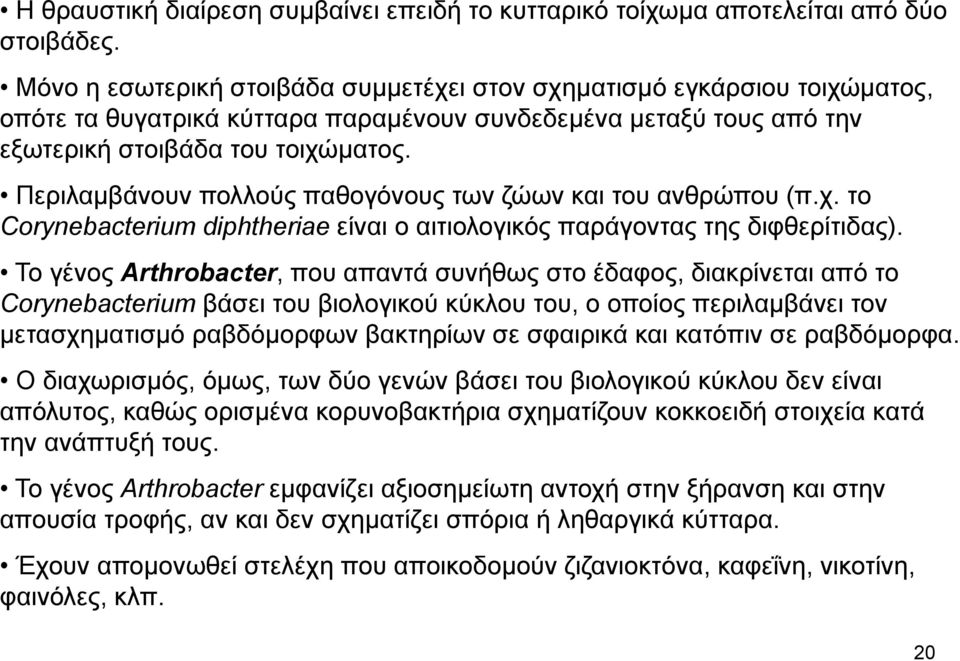 Περιλαμβάνουν πολλούς παθογόνους των ζώων και του ανθρώπου (π.χ. το Corynebacterium diphtheriae είναι ο αιτιολογικός παράγοντας της διφθερίτιδας).