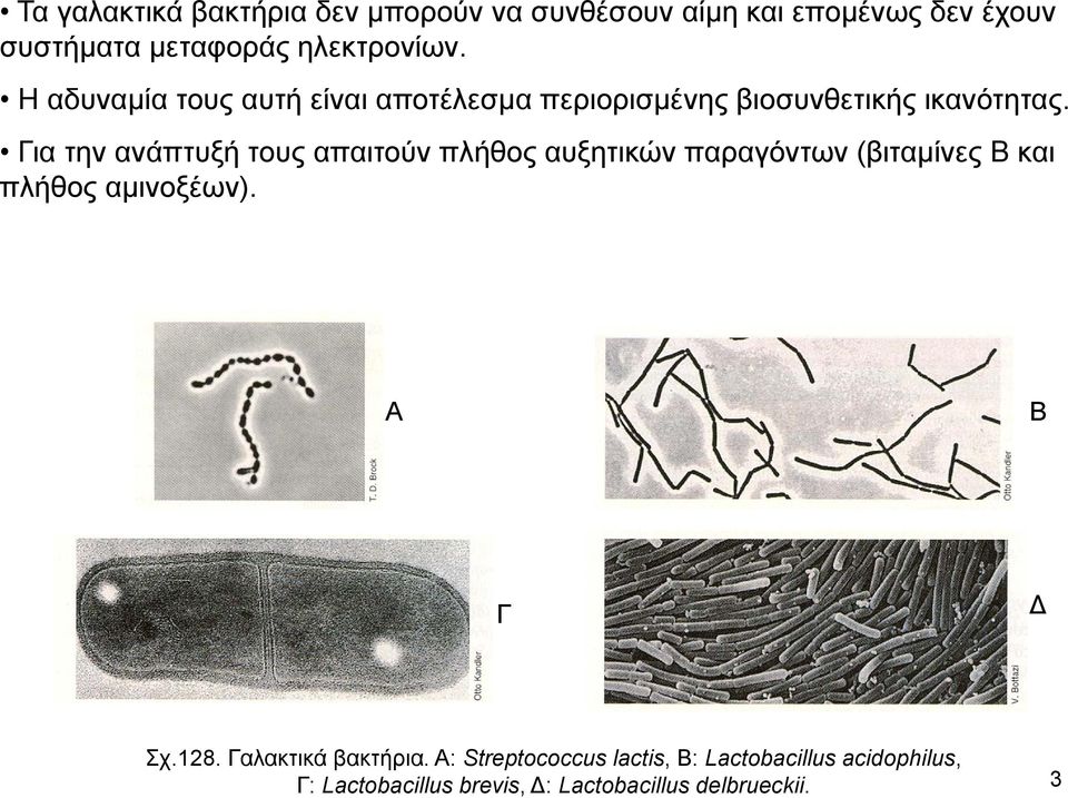 Για την ανάπτυξή τους απαιτούν πλήθος αυξητικών παραγόντων (βιταμίνες Β και πλήθος αμινοξέων). A B Γ Δ Σχ.