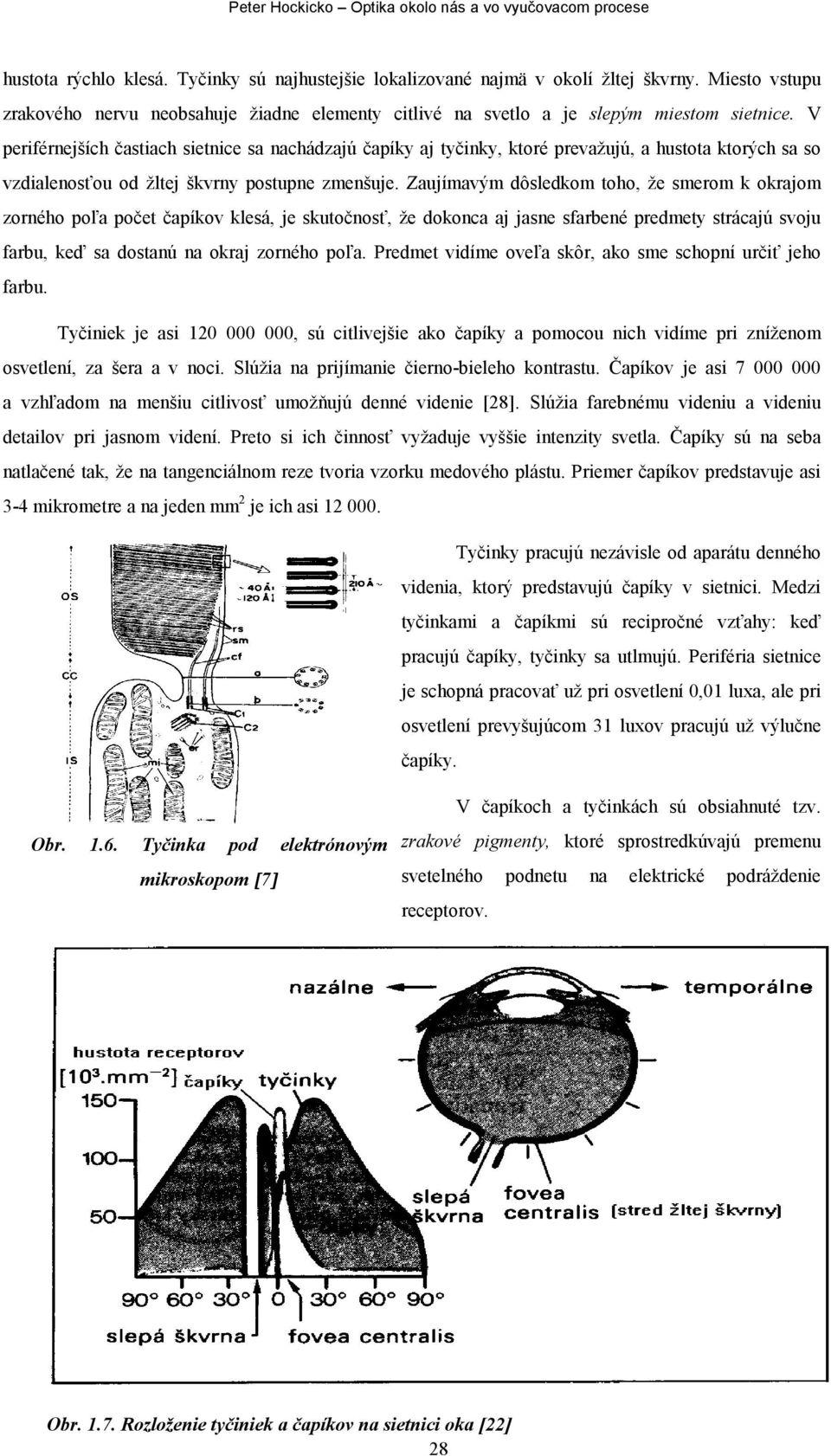 Zaujímavým dôsledkom toho, že smerom k okrajom zorného poľa počet čapíkov klesá, je skutočnosť, že dokonca aj jasne sfarbené predmety strácajú svoju farbu, keď sa dostanú na okraj zorného poľa.