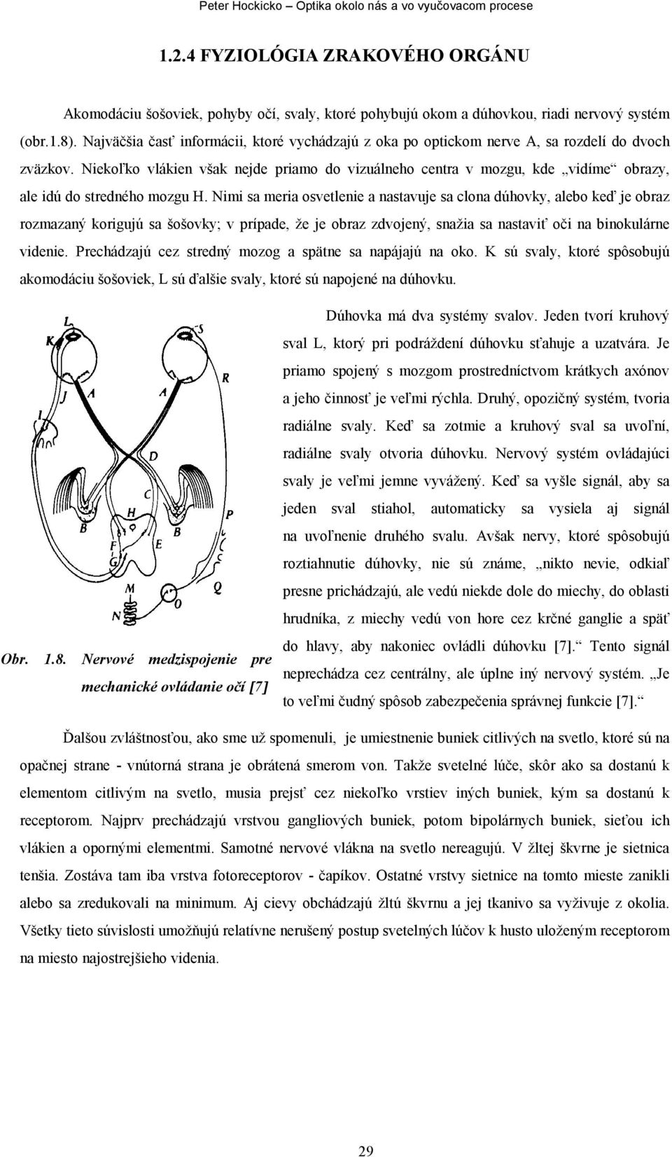 Niekoľko vlákien však nejde priamo do vizuálneho centra v mozgu, kde vidíme obrazy, ale idú do stredného mozgu H.