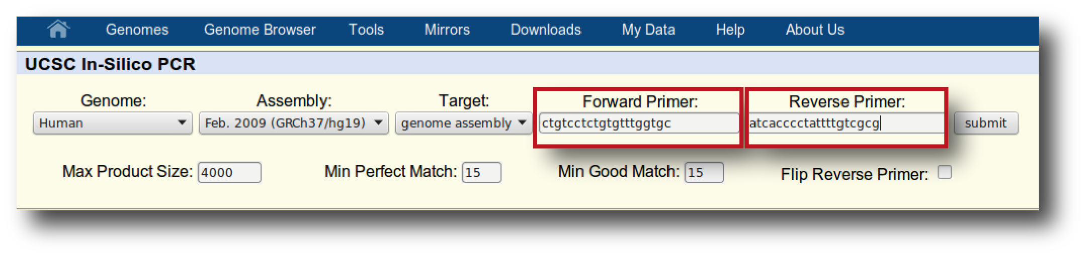Αλυσιδωτή αντίδραση πολυμεράσης (PCR) 7.2.2 In silico PCR Γνωρίζοντας τις αλληλουχίες ενός ζεύγους εκκινητών μπορούμε να πραγματοποιήσουμε μια εικονική αντίδραση PCR στον υπολογιστή (in silico PCR).