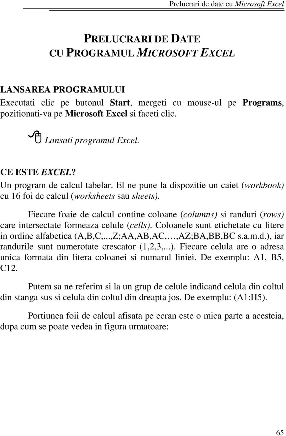 Fiecare foaie de calcul contine coloane (columns) si randuri (rows) care intersectate formeaza celule (cells). Coloanele sunt etichetate cu litere in ordine alfabetica (A,B,C,.