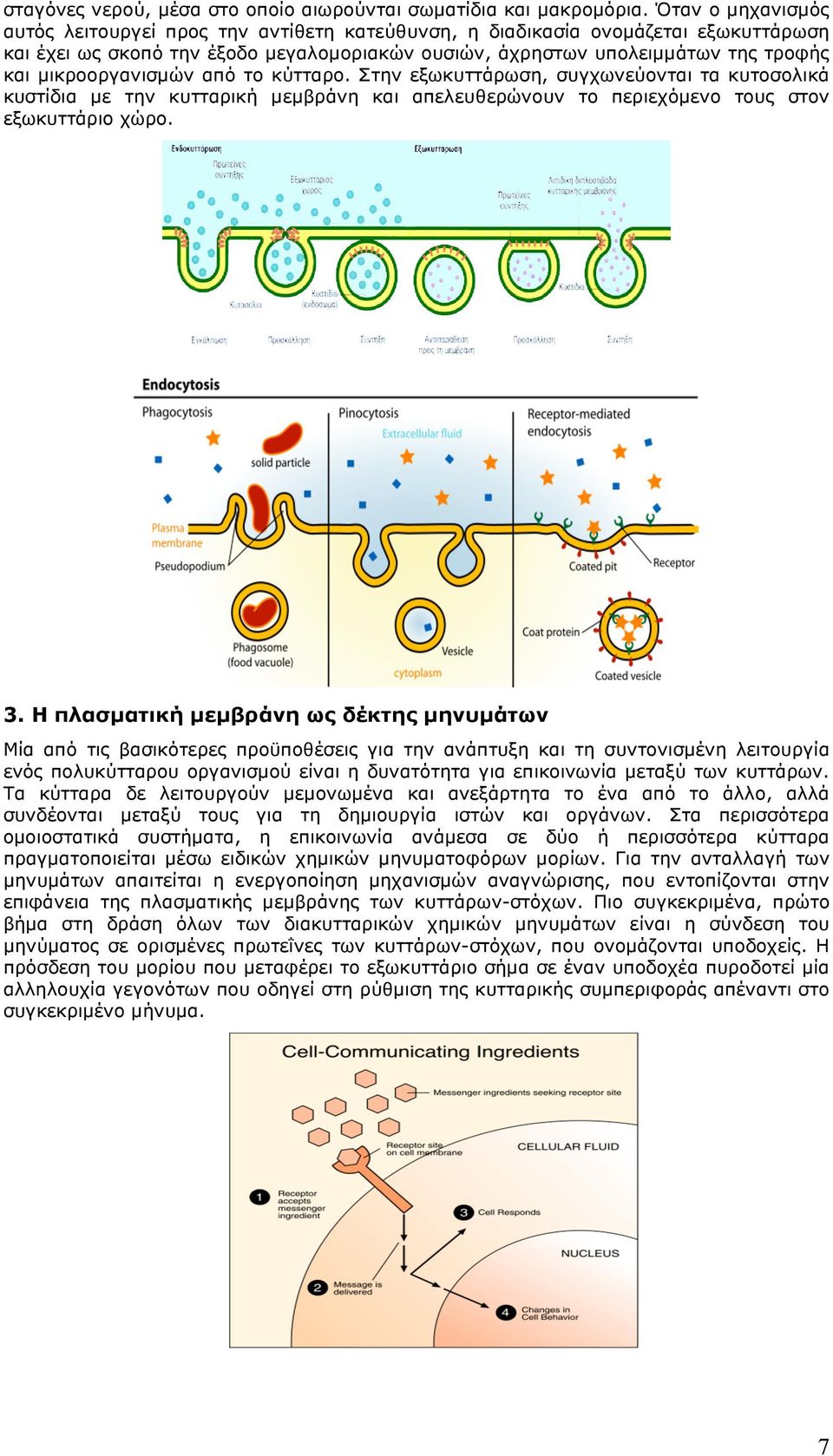 µικροοργανισµών από το κύτταρο. Στην εξωκυττάρωση, συγχωνεύονται τα κυτοσολικά κυστίδια µε την κυτταρική µεµβράνη και απελευθερώνουν το περιεχόµενο τους στον εξωκυττάριο χώρο. 3.