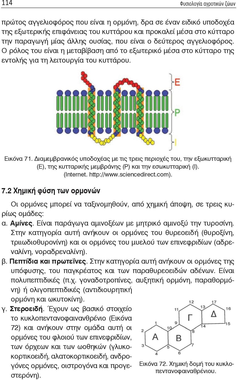 Διαμεμβρανικός υποδοχέας με τις τρεις περιοχές του, την εξωκυτταρική (Ε), της κυτταρικής μεμβράνης (P) και την εσωκυτταρική (I). (Internet. http://www.sciencedirect.com). 7.