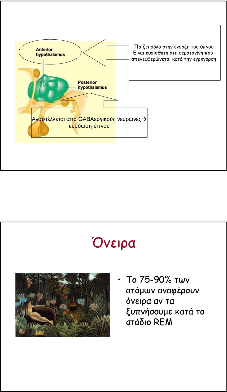 Αναστέλλεται από GABAεργικούς νευρώνες ευόδωση ύπνου