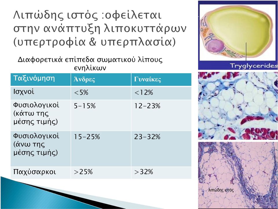 Φυσιολογικοί (κάτω της µέσης τιµής) Φυσιολογικοί