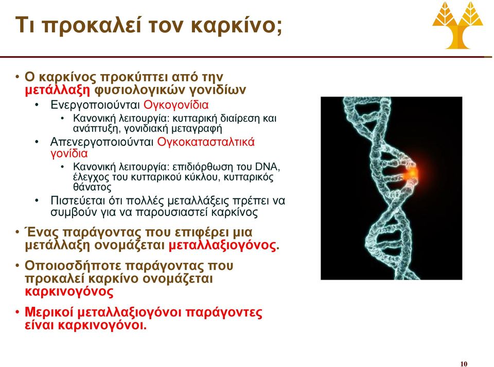 κύκλου, κυτταρικός θάνατος Πιστεύεται ότι πολλές μεταλλάξεις πρέπει να συμβούν για να παρουσιαστεί καρκίνος Ένας παράγοντας που επιφέρει μια μετάλλαξη