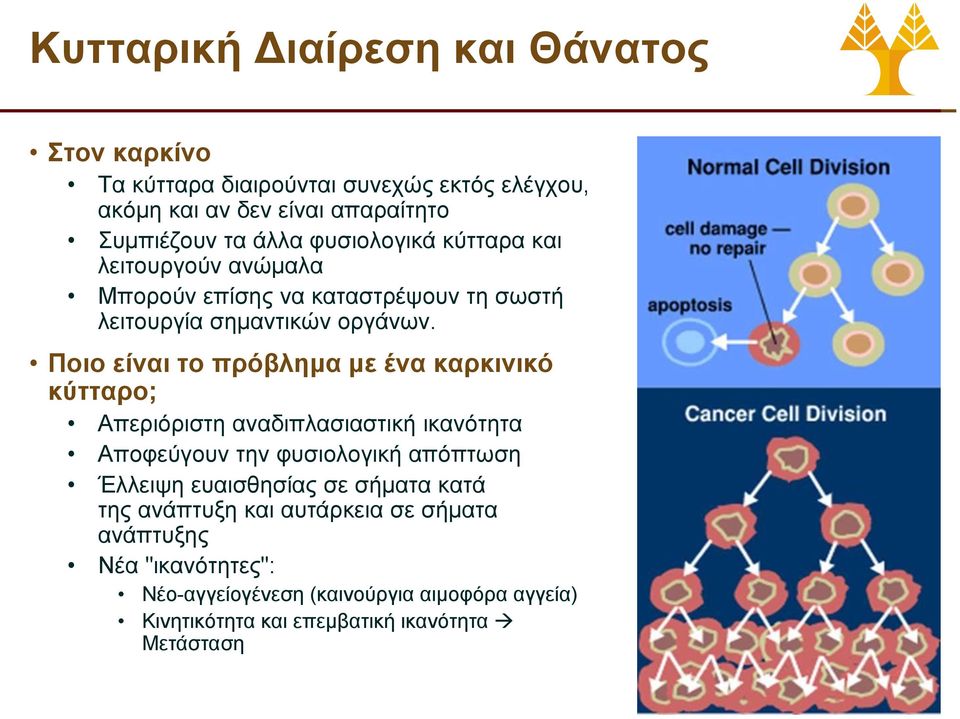 Ποιο είναι το πρόβλημα με ένα καρκινικό κύτταρο; Απεριόριστη αναδιπλασιαστική ικανότητα Αποφεύγουν την φυσιολογική απόπτωση Έλλειψη ευαισθησίας