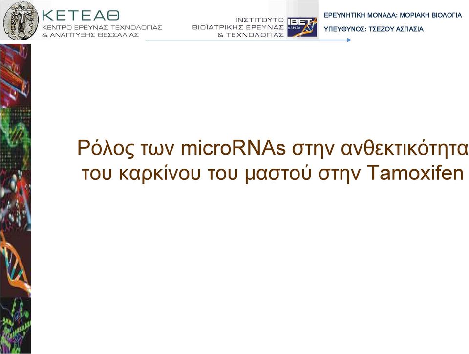 Ρόλος των micrornas στην