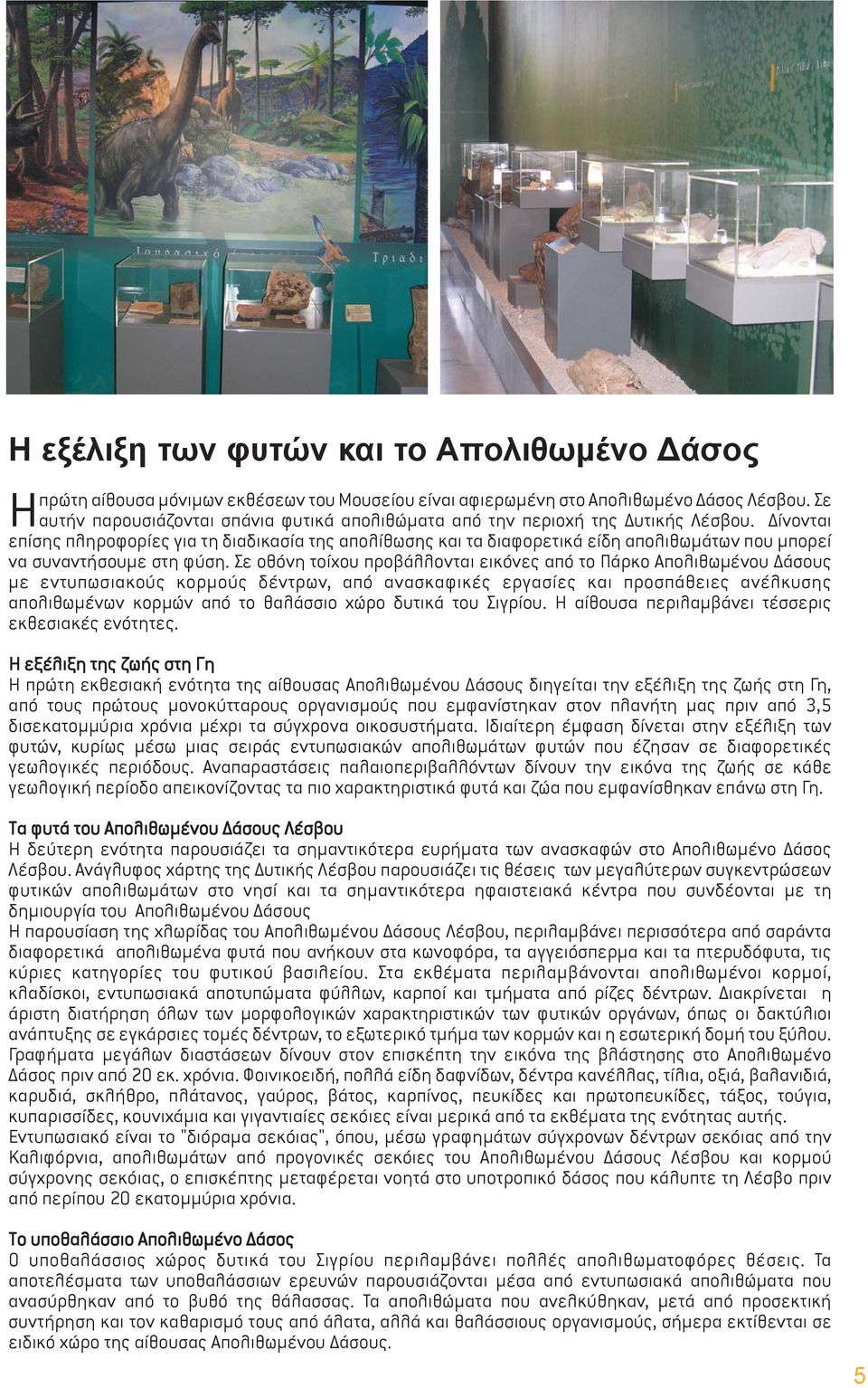 Δίνονται επίσης πληροφορίες για τη διαδικασία της απολίθωσης και τα διαφορετικά είδη απολιθωμάτων που μπορεί να συναντήσουμε στη φύση.