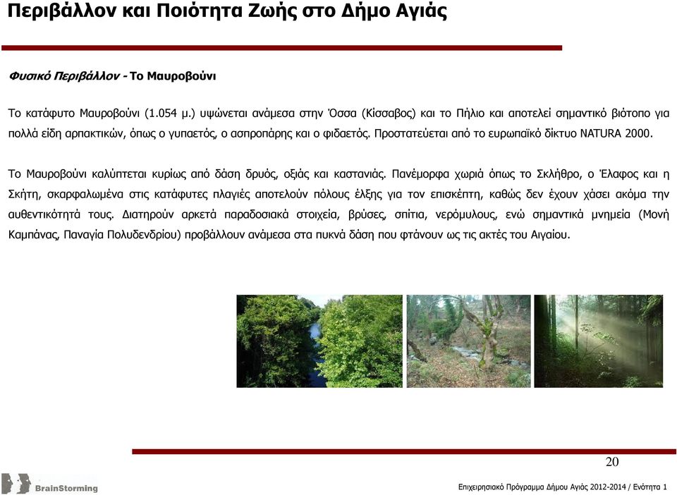 Προστατεύεται από το ευρωπαϊκό δίκτυο NATURA 2000. Το Μαυροβούνι καλύπτεται κυρίως από δάση δρυός, οξιάς και καστανιάς.